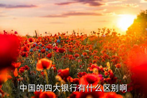 中國的四大銀行有什么區(qū)別啊