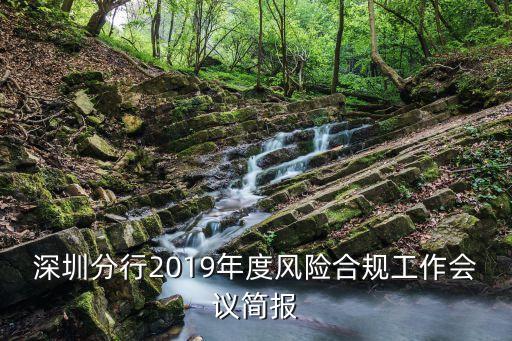 深圳分行2019年度風(fēng)險合規(guī)工作會議簡報