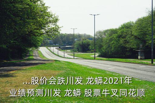 ...股價會跌川發(fā) 龍蟒2021年業(yè)績預(yù)測川發(fā) 龍蟒 股票牛叉同花順