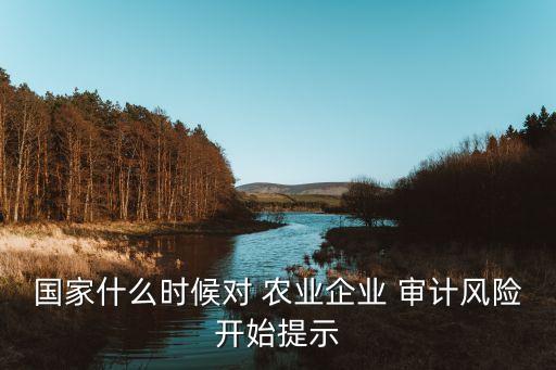 國家什么時(shí)候?qū)?農(nóng)業(yè)企業(yè) 審計(jì)風(fēng)險(xiǎn)開始提示