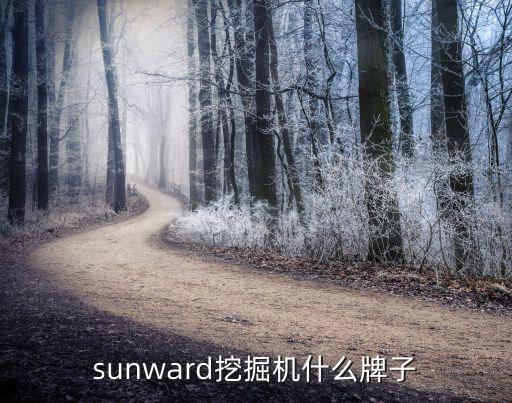 sunward挖掘機(jī)什么牌子