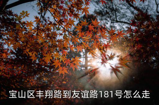 寶山區(qū)豐翔路到友誼路181號怎么走