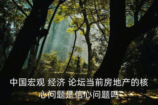 中國宏觀 經(jīng)濟 論壇當前房地產(chǎn)的核心問題是信心問題嗎