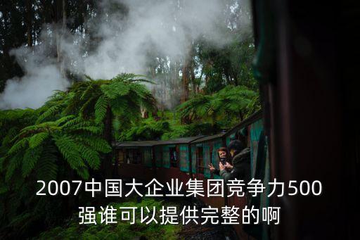 2007中國大企業(yè)集團競爭力500強誰可以提供完整的啊