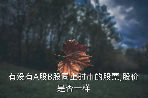 有沒有A股B股同上時市的股票,股價是否一樣