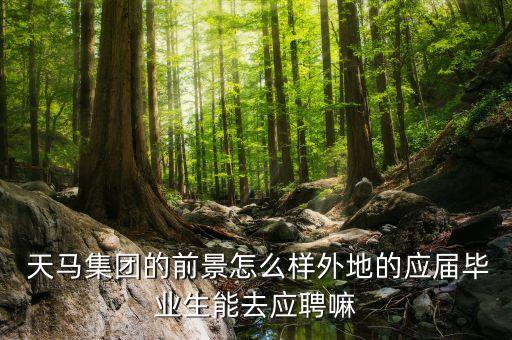  天馬集團的前景怎么樣外地的應屆畢業(yè)生能去應聘嘛