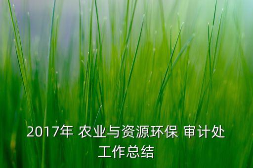 2017年 農(nóng)業(yè)與資源環(huán)保 審計(jì)處工作總結(jié)