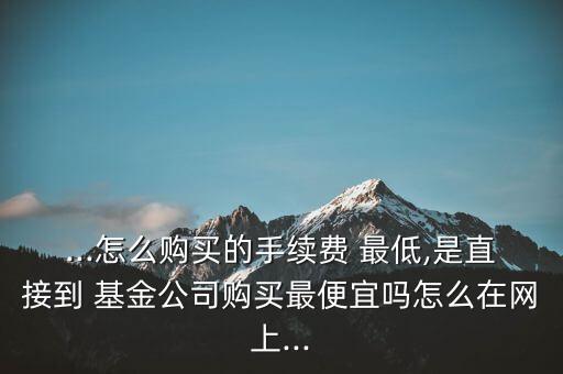 ...怎么購買的手續(xù)費 最低,是直接到 基金公司購買最便宜嗎怎么在網(wǎng)上...