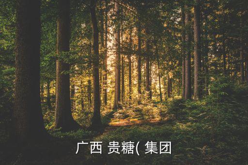 貴糖集團(tuán)電話