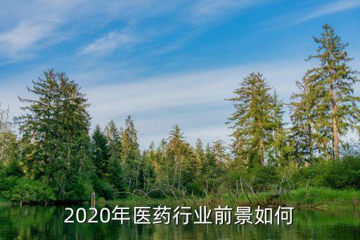 中國藥品市場規(guī)模,2022年中國藥品市場規(guī)模