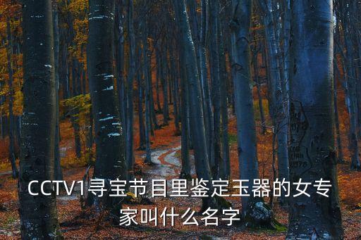 CCTV1尋寶節(jié)目里鑒定玉器的女專(zhuān)家叫什么名字