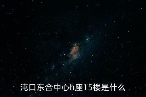 沌口東合中心h座15樓是什么