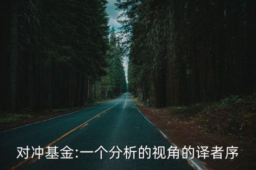 對沖基金:一個分析的視角的譯者序