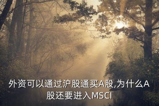 外資可以通過滬股通買A股,為什么A股還要進(jìn)入MSCI