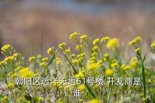  朝陽(yáng)區(qū)遠(yuǎn)洋天地61號(hào)樓 開發(fā)商是誰(shuí)