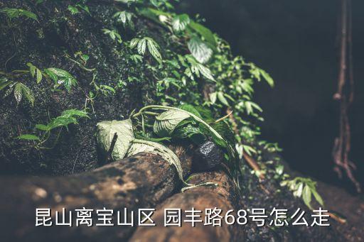 昆山離寶山區(qū) 園豐路68號怎么走