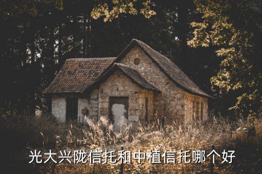  光大興隴信托和中植信托哪個(gè)好