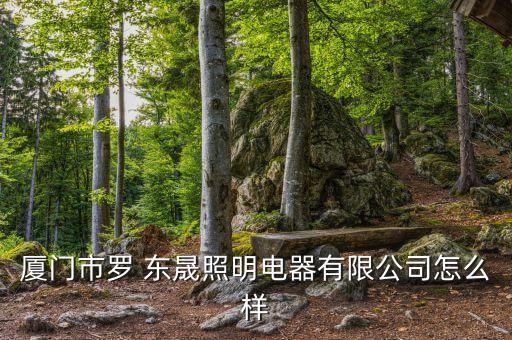 廈門市羅 東晟照明電器有限公司怎么樣