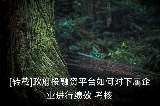 [轉載]政府投融資平臺如何對下屬企業(yè)進行績效 考核