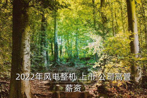 上市公司總經(jīng)理薪酬榜,2022上市公司董事長薪酬榜