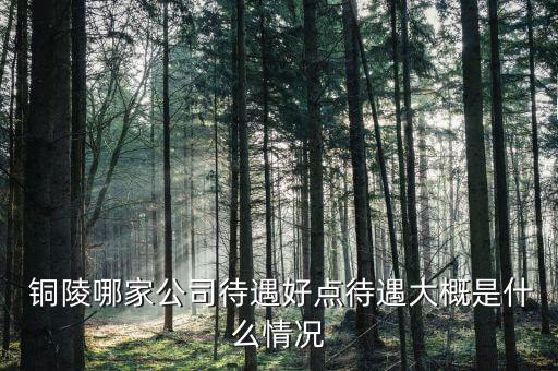  銅陵哪家公司待遇好點待遇大概是什么情況