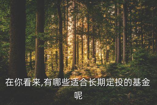 在你看來(lái),有哪些適合長(zhǎng)期定投的基金呢