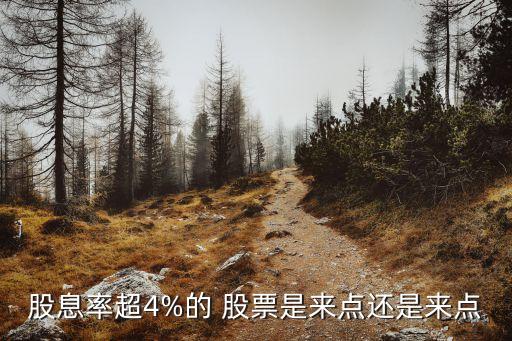 股息率超4%的 股票是來(lái)點(diǎn)還是來(lái)點(diǎn)