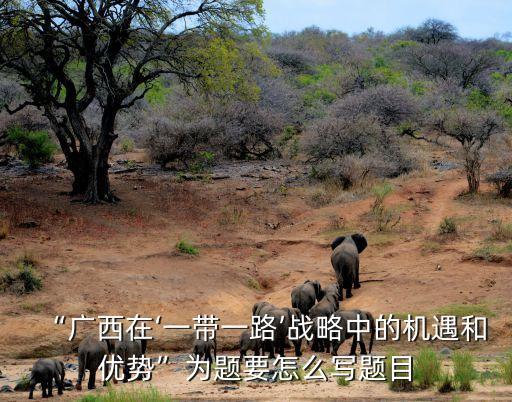 “廣西在‘一帶一路’戰(zhàn)略中的機(jī)遇和優(yōu)勢”為題要怎么寫題目