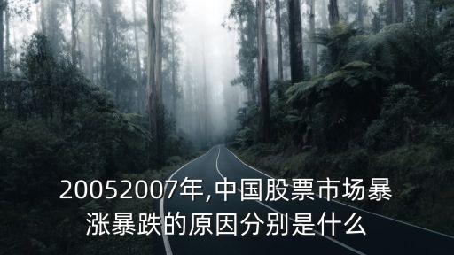 20052007年,中國股票市場暴漲暴跌的原因分別是什么