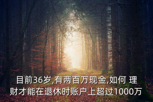 目前36歲,有兩百萬現(xiàn)金,如何 理財才能在退休時賬戶上超過1000萬