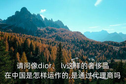 請問像dior、 lv這樣的奢侈品在中國是怎樣運作的,是通過代理商嗎