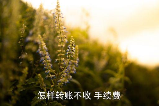 怎樣轉(zhuǎn)賬不收 手續(xù)費