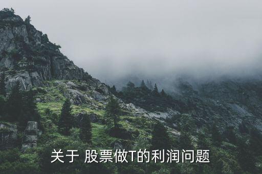 關(guān)于 股票做T的利潤(rùn)問(wèn)題