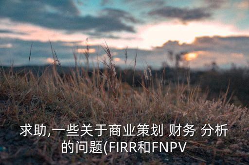 求助,一些關(guān)于商業(yè)策劃 財(cái)務(wù) 分析的問(wèn)題(FIRR和FNPV