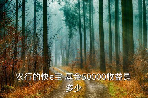 農行的快e寶 基金50000收益是多少