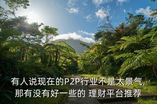 有人說現(xiàn)在的P2P行業(yè)不是太景氣,那有沒有好一些的 理財(cái)平臺(tái)推薦