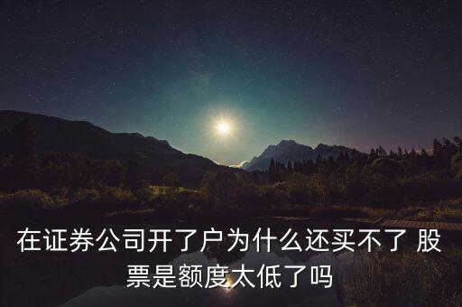 在證券公司開(kāi)了戶為什么還買不了 股票是額度太低了嗎