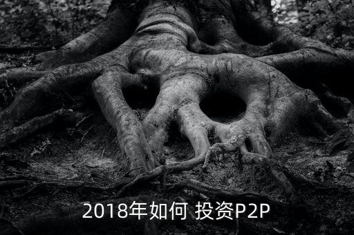 2018年如何 投資P2P