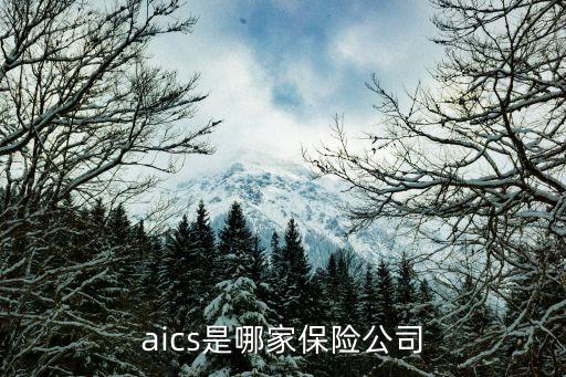 aics是哪家保險公司