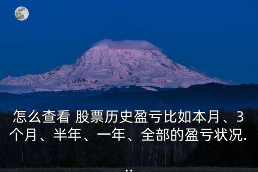 怎么查看 股票歷史盈虧比如本月、3個月、半年、一年、全部的盈虧狀況...