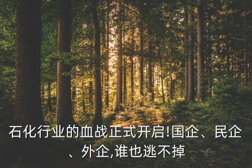 石化行業(yè)的血戰(zhàn)正式開(kāi)啟!國(guó)企、民企、外企,誰(shuí)也逃不掉