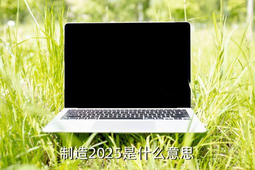 中國制造2025是什么意思