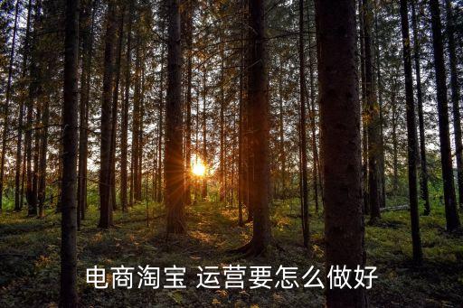 電商淘寶 運(yùn)營要怎么做好