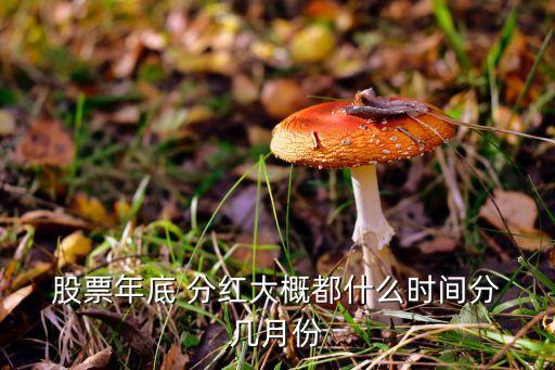  股票年底 分紅大概都什么時(shí)間分 幾月份