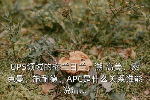 UPS領(lǐng)域的梅蘭日蘭、溯 高美、索克曼、施耐德、APC是什么關(guān)系誰能說清...