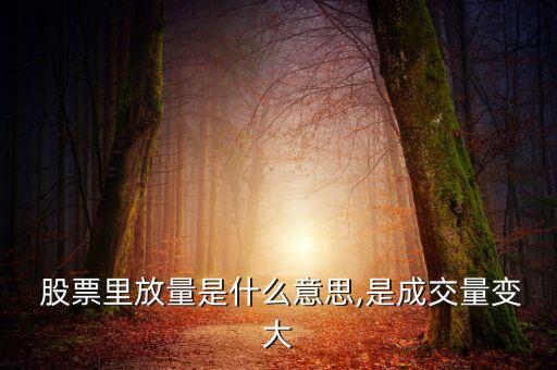  股票里放量是什么意思,是成交量變大