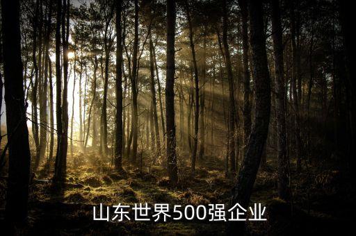  山東世界500強(qiáng)企業(yè)