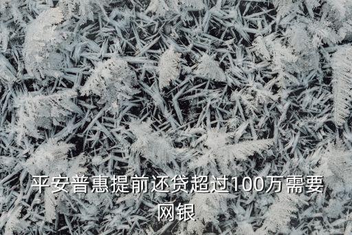  平安普惠提前還貸超過100萬需要網(wǎng)銀