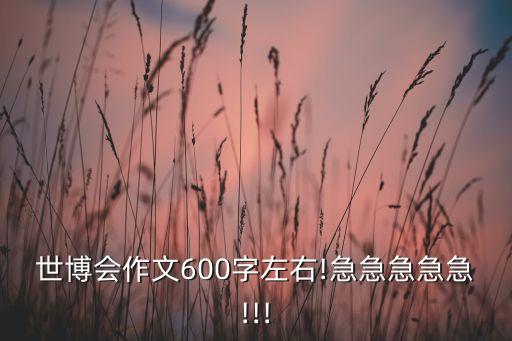 世博會作文600字左右!急急急急急!!!