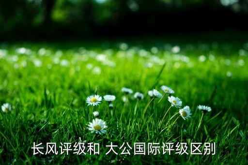 長(zhǎng)風(fēng)評(píng)級(jí)和 大公國(guó)際評(píng)級(jí)區(qū)別